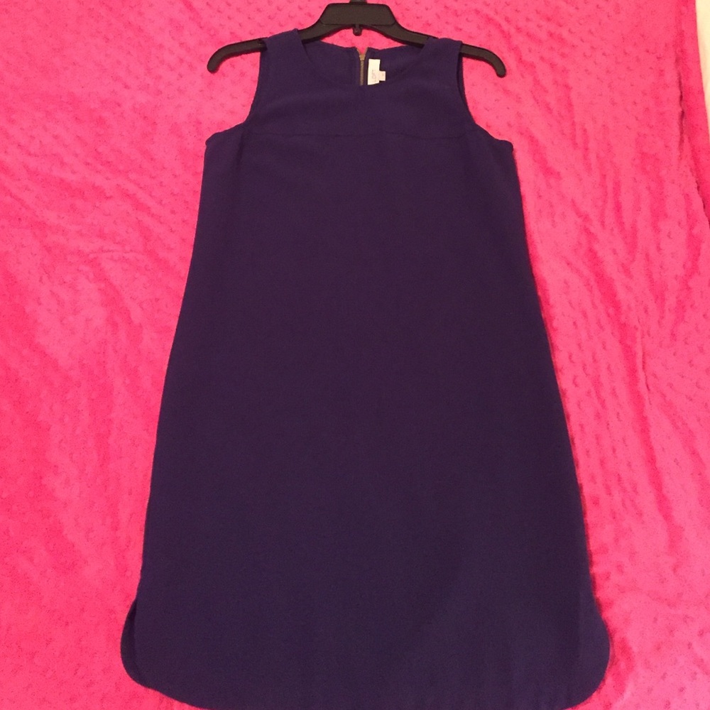 Anne Taylor Loft women's dress